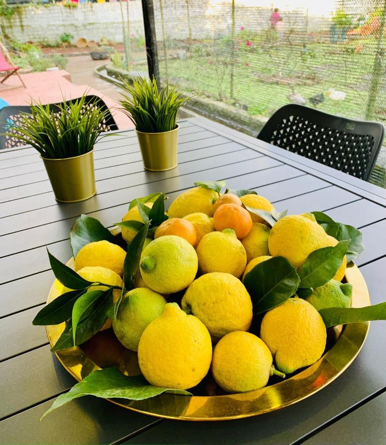 Furnas Spring Lodge المظهر الخارجي الصورة