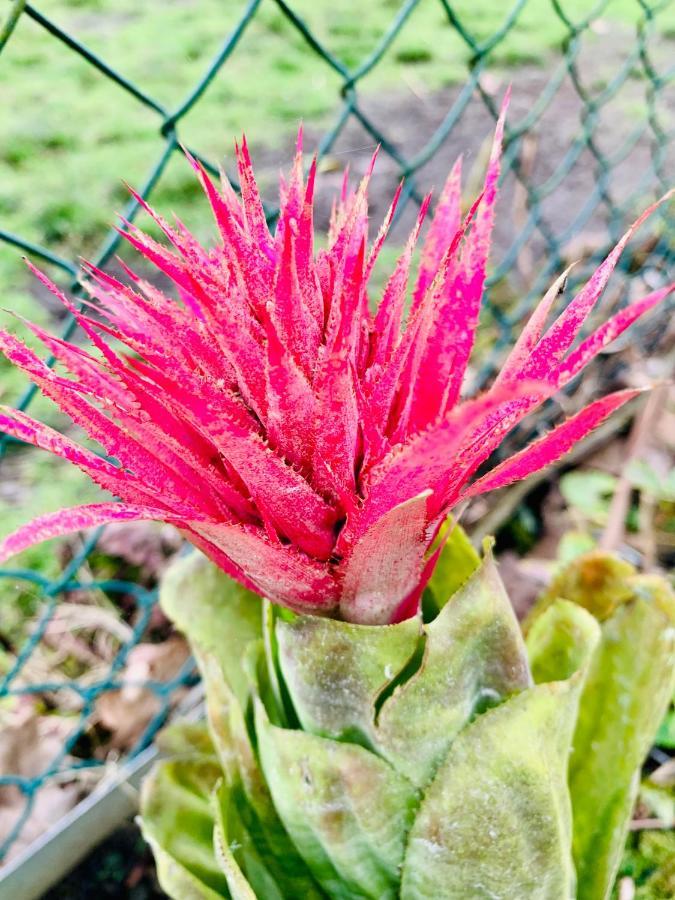 Furnas Spring Lodge المظهر الخارجي الصورة
